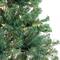 6ft. Pre-Lit Acacia Artificial Christmas Tree, Clear Lights